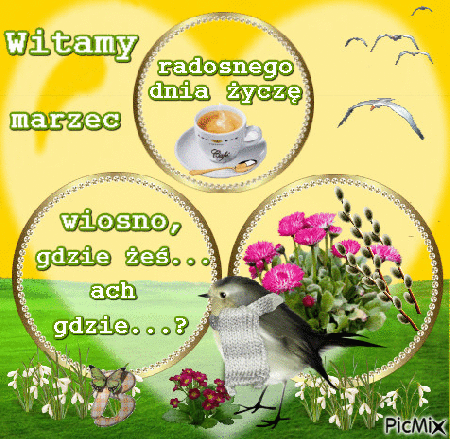Witamy marzec radosnego dnia życzę